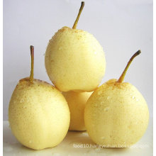 Quality Chinese Ya pears